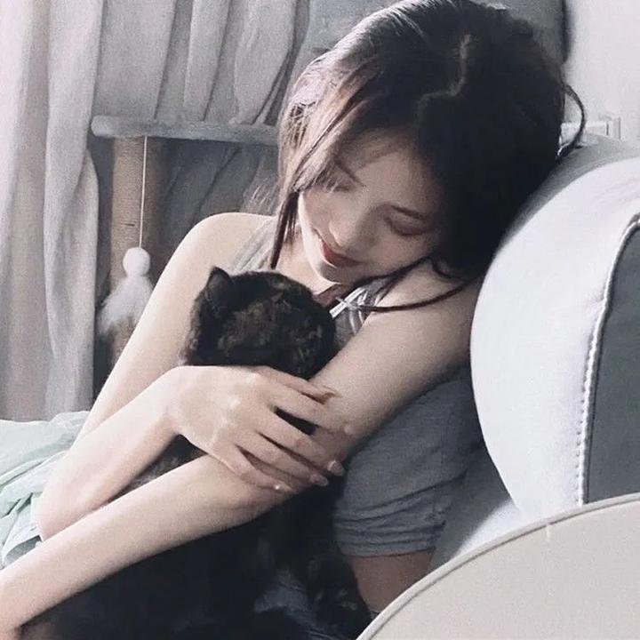 完美的他人