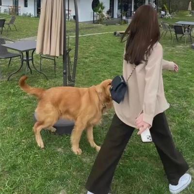 小蝌蚪找妈妈